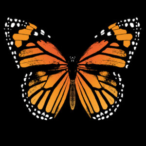Monarch Butterfly - Kids Tee Design