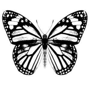 Monarch Butterfly - Black - Kids Outline Tee Design