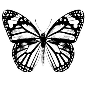 Monarch Butterfly - Black - Womens Dice Longsleeve Tee Design