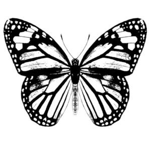 Monarch Butterfly - Black - Womens Crop Long Sleeved Tee Design