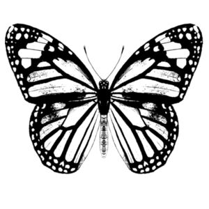 Monarch Butterfly - Black - Womens Bevel V-Neck Tee Design