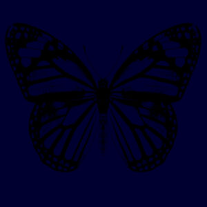 Monarch Butterfly - Black - Apron Design