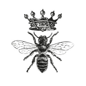 Queen Bee - Womens Chloe V-Neck Tee Design