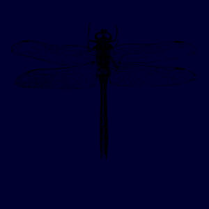 Dragonfly - Apron Design