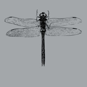 Dragonfly - Kids Fox Sweatshirt Design