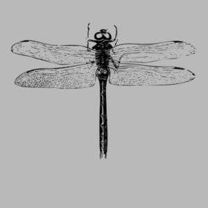 Dragonfly - Kids Tee Design