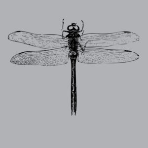 Dragonfly - Womens Stencil Hood Design