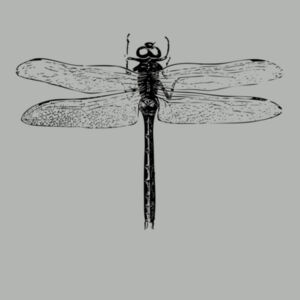 Dragonfly - Womens Classic Tee Design