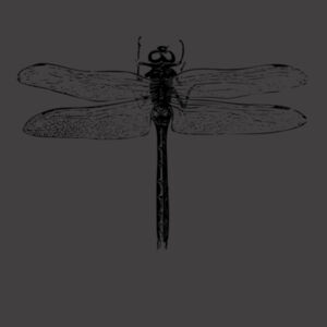 Dragonfly - Womens Faded Tee Design