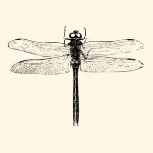 Dragonfly - Shoulder Tote Design