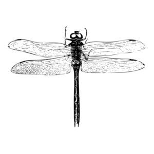 Dragonfly - Pillowcase  Design