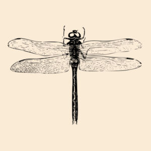 Dragonfly - Drawstring Backpack Design