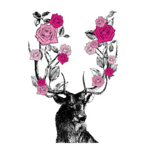 Stag and Roses - Tea Towel Design