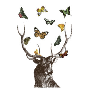 Stag and Butterflies  - Cushion cover Design