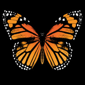Monarch Butterfly - Kids Outline Tee Design