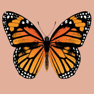 Monarch Butterfly - Womens Crop Hood Design