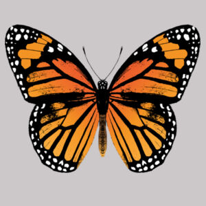 Monarch Butterfly - Womens Supply Hood Design