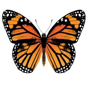 Monarch Butterfly - Womens Yes Racerback Singlet Design