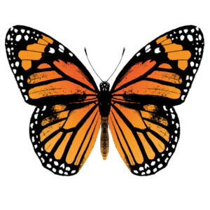 Monarch Butterfly - Womens Crop Tank Design