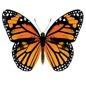 Monarch Butterfly - Womens Shallow Scoop Tee Design