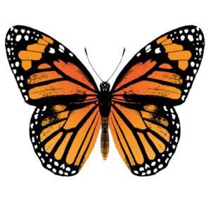 Monarch Butterfly - Womens Chloe V-Neck Tee Design
