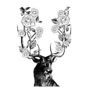 Stag and Roses - Black - Pillowcase  Design
