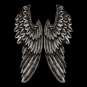 Angel Wings - Kids Origin Hoodie Design