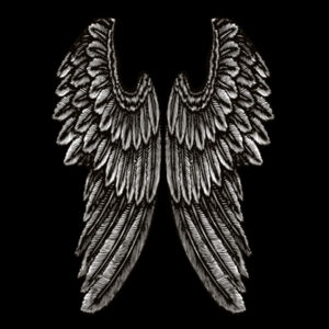 Angel Wings - Kids Supply Hoodie Design