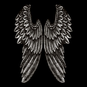 Angel Wings - Kids Tee Design