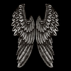 Angel Wings - Womens Stencil Hood Design