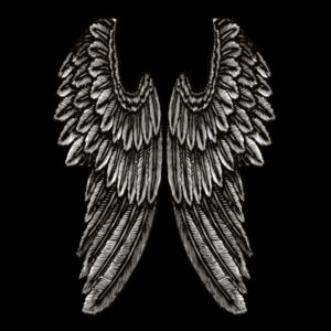 Angel Wings - Womens Crop Long Sleeved Tee Design