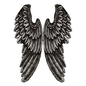 Angel Wings - Womens Ringer Tee Design