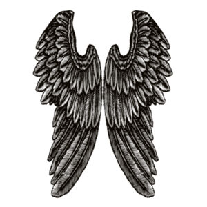 Angel Wings - Womens Crop Tee Design