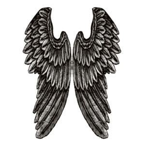 Angel Wings - Womens Chloe V-Neck Tee Design