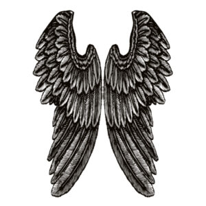 Angel Wings - Womens Bevel V-Neck Tee Design