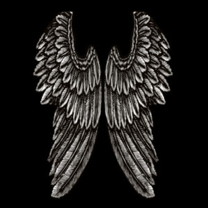 Angel Wings - Womens Silhouette Tee Design