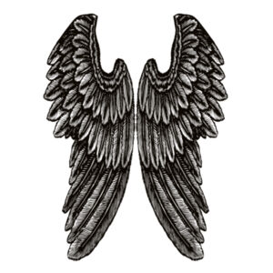 Angel Wings - Womens Basic Tee Design