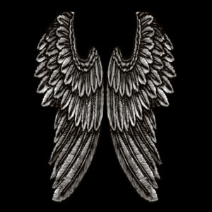 Angel Wings - Mens Heavy Hood Design