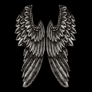 Angel Wings - Mens Maverick 360 Hoodie Design