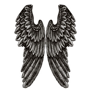 Angel Wings - Mens Base Organic Long Sleeved Tee Design