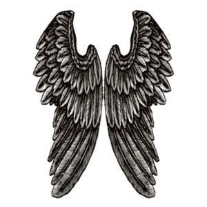 Angel Wings - Mens Raglan Tee Design