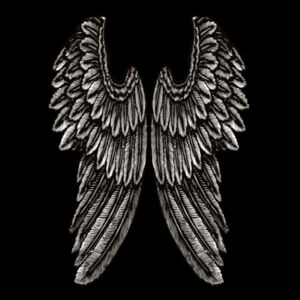 Angel Wings - Mens Barnard Organic Tank Design