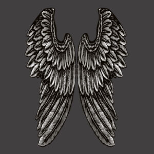 Angel Wings - Mens Faded Tee Design