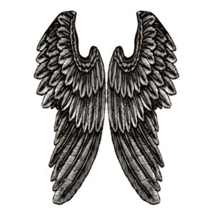 Angel Wings - Mens Tall Tee Design