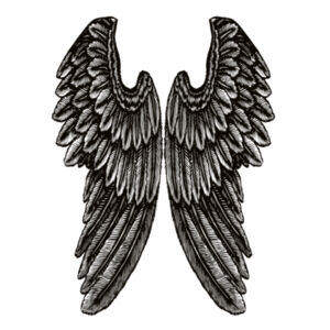 Angel Wings - Mens Heavy Cotton T-Shirt  Design