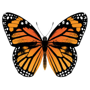 Monarch Butterfly - Baby Bib Design