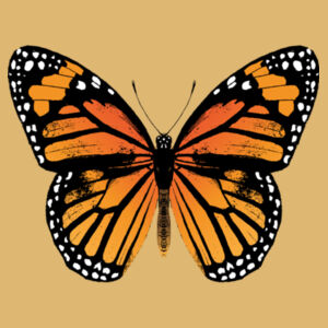 Monarch Butterfly - Christmas Ball Ornament Design