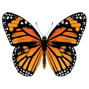 Monarch Butterfly - Round Key Ring Design