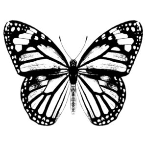 Monarch Butterfly - Black - Baby Bib Design