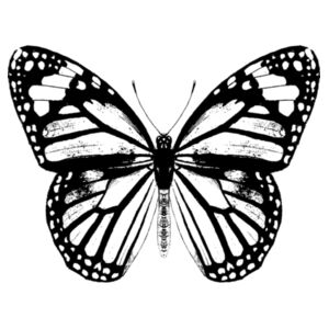 Monarch Butterfly - Black - Coaster - Round Hardboard Design